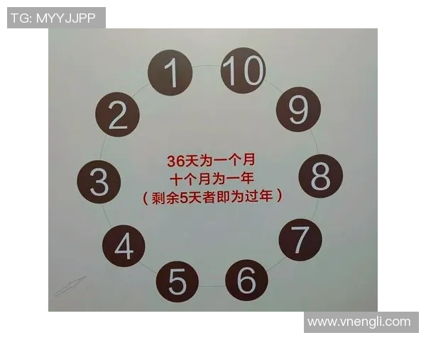 你不知道的总决赛：十大冷知识大揭秘